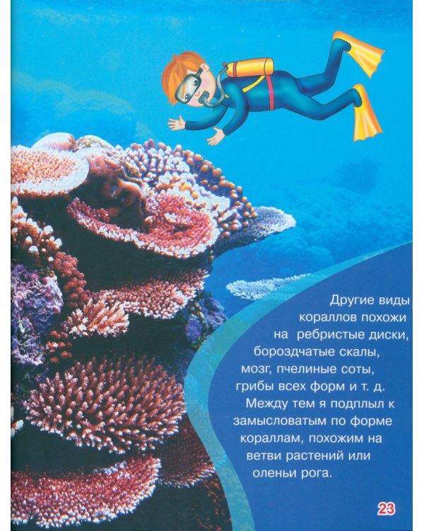 Мир коралловых рифов Красного моря