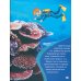 Мир коралловых рифов Красного моря