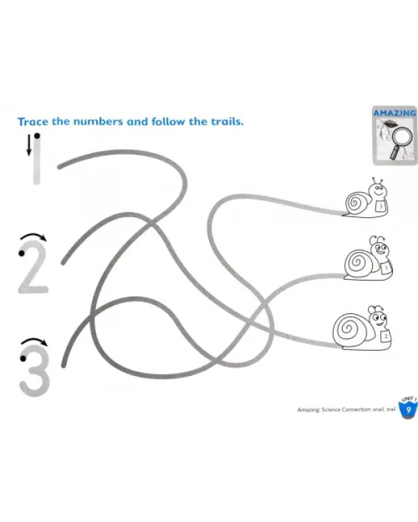 Big Fun 2. Workbook + Audio CD
