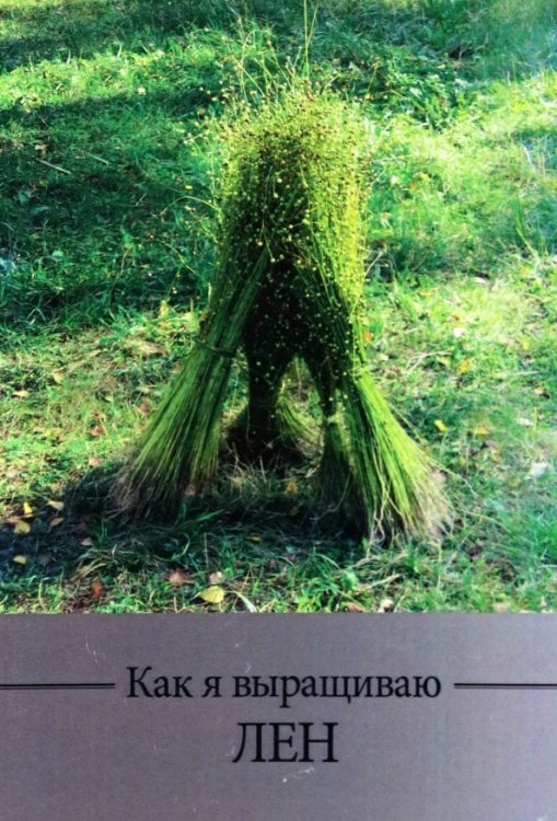 Как я выращиваю лен
