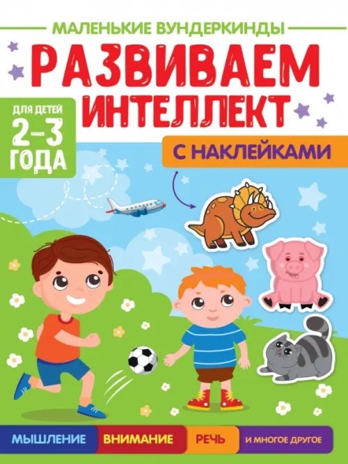 Развиваем интеллект.2-3г. (с накл.)