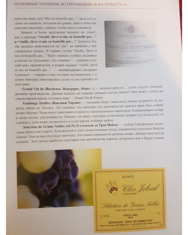 Курс сомелье по винам Франции и Италии