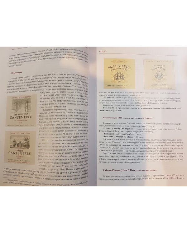 Курс сомелье по винам Франции и Италии