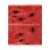 Дополнительное изображение книги «Тетрадь Exotic Fruits, 48 листов, клетка, А5, в ассортименте»