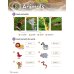 Guess What! Level 1. Activity Book with Online Resources. British English