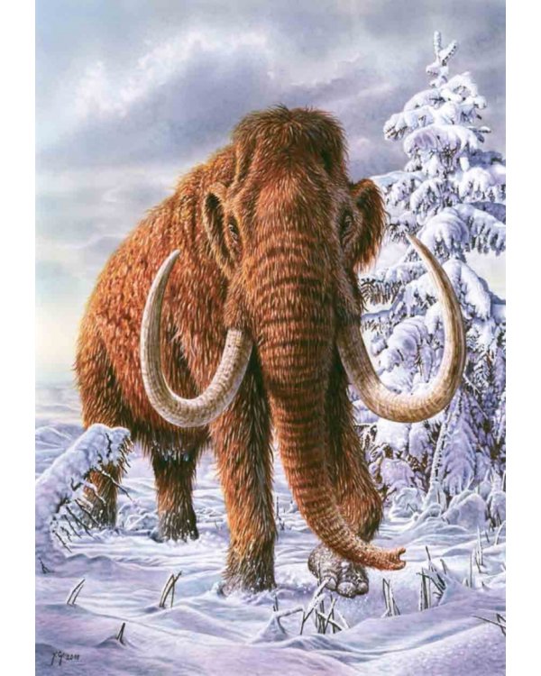 Книга исчезнувших животных. BIObook А. Толмачёва