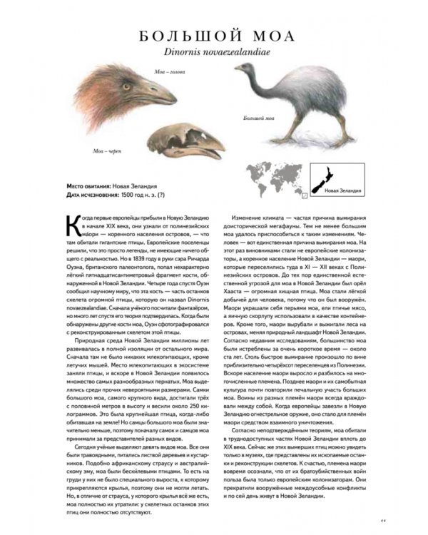 Книга исчезнувших животных. BIObook А. Толмачёва