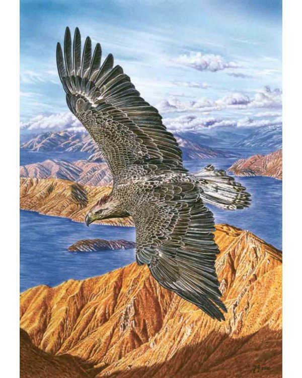 Книга исчезнувших животных. BIObook А. Толмачёва