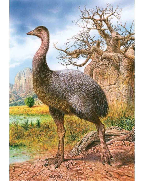 Книга исчезнувших животных. BIObook А. Толмачёва