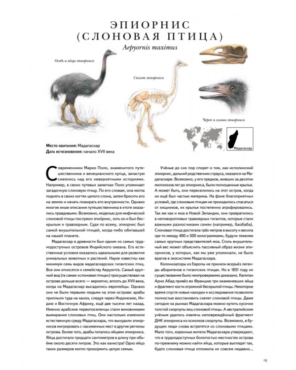 Книга исчезнувших животных. BIObook А. Толмачёва