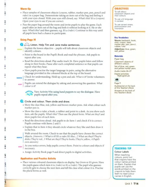 Big English Plus 1. Teacher's Book