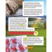 Cambridge Primary Reading Anthologies. Level 4. Student's Book with Online Audio