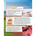 Cambridge Primary Reading Anthologies. Level 4. Student's Book with Online Audio