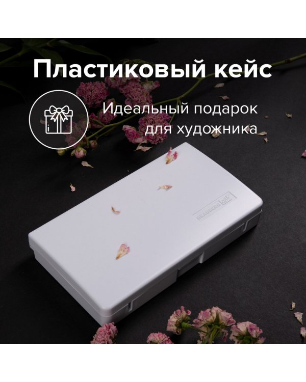 Акварель художественная, 12 цветов, в кюветах