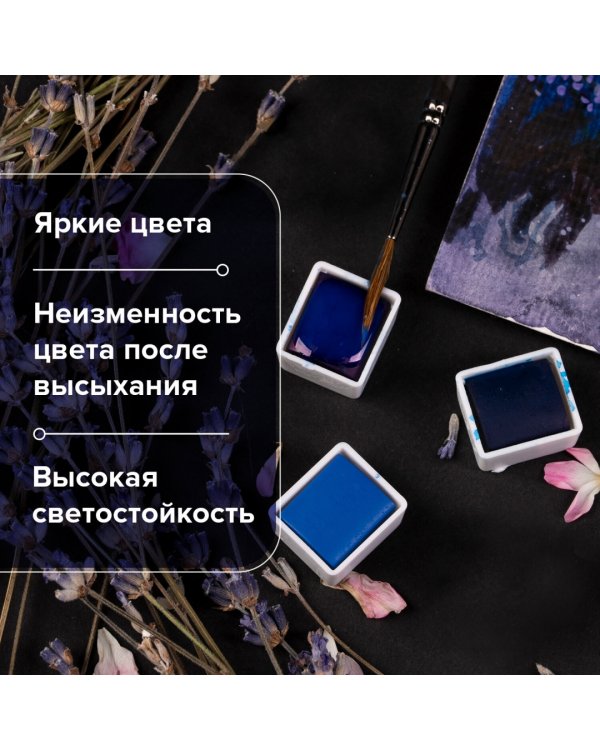 Акварель художественная, 12 цветов, в кюветах