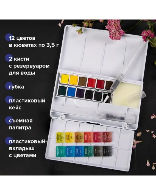 Акварель художественная, 12 цветов, в кюветах