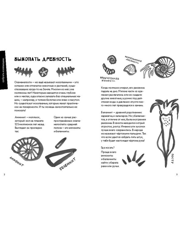 50 познавательных игр на природе