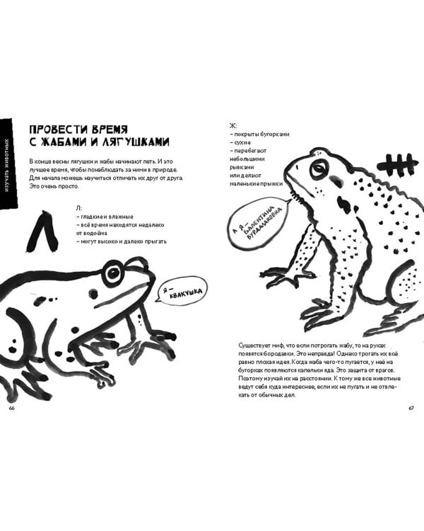 50 познавательных игр на природе