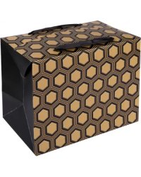 Пакет-коробка подарочный