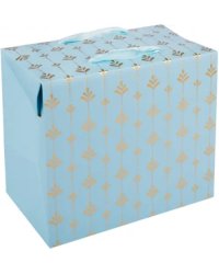 Пакет-коробка подарочный