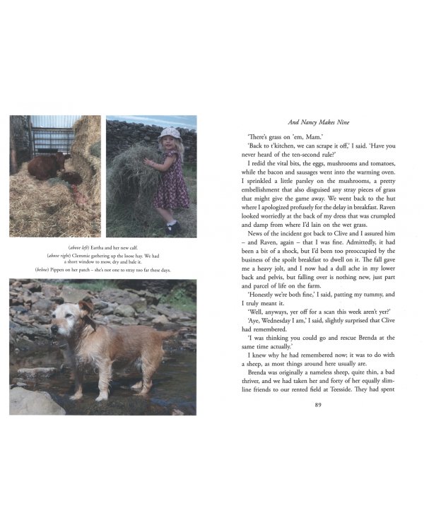 Adventures Of The Yorkshire Shepherdess