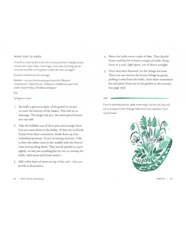 The Wild Journal. A Year of Nurturing Yourself Through Nature