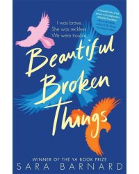 Beautiful Broken Things