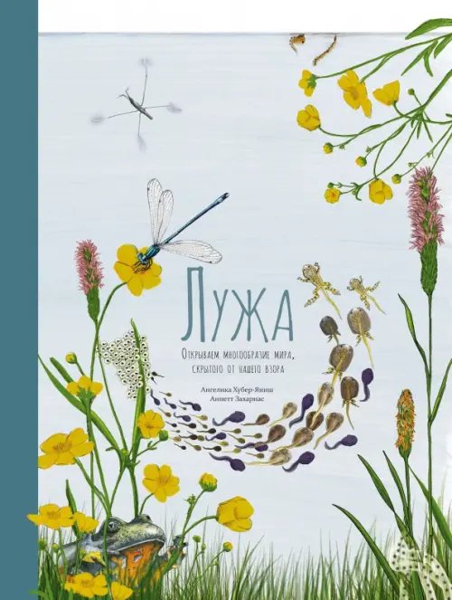 Лужа. Открываем многообразие мира, скрытого от нашего взора Лужа. Открываем многообразие мира, скрытого от нашего взора