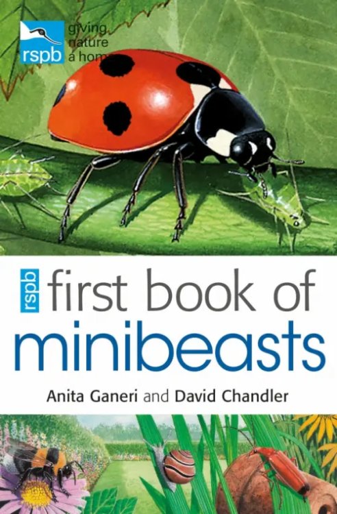 RSPB RSPB First Book Of Minibeasts