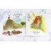 Дополнительное изображение книги «Blueberry Girl»