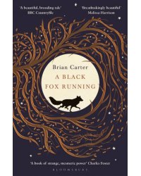 A Black Fox Running