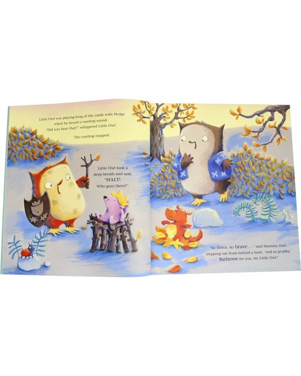 Little Owl's Bathtime