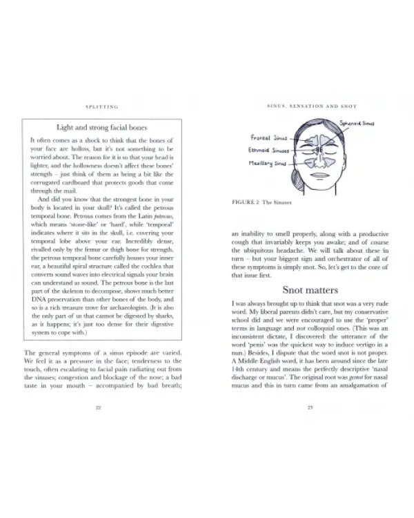 Splitting. The inside story on headaches