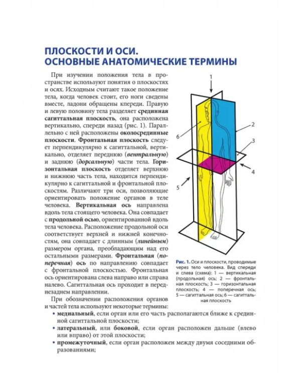 Анатомия человека для педиатров. Учебник