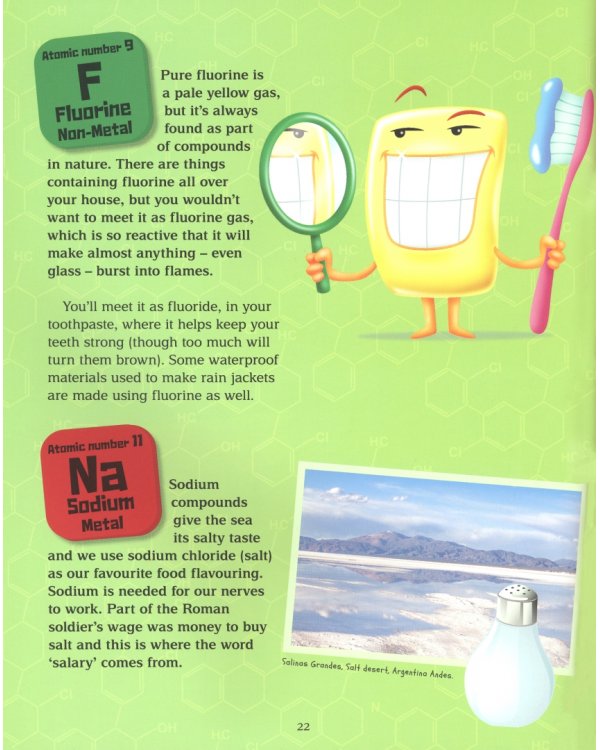 A Beginner's Guide to the Periodic Table