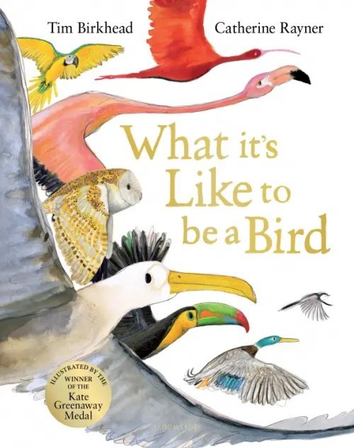 What it's Like to be a Bird What it's Like to be a Bird