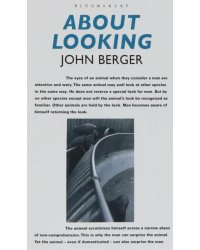 About Looking