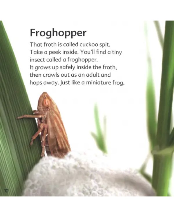 Дополнительное изображение книги «RSPB My First Book of Garden Bugs»