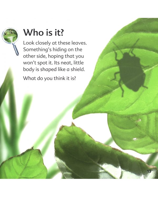 Дополнительное изображение книги «RSPB My First Book of Garden Bugs»