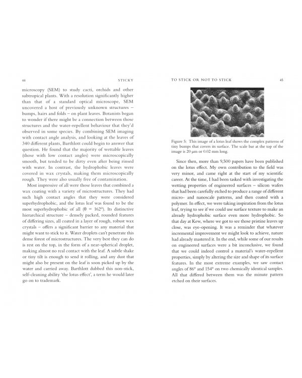 Sticky. The Secret Science of Surfaces