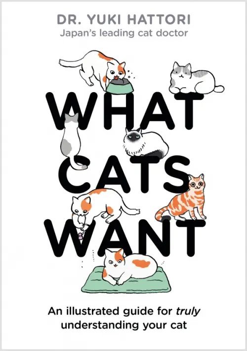 What Cats Want. An Illustrated Guide for Truly Understanding Your Cat