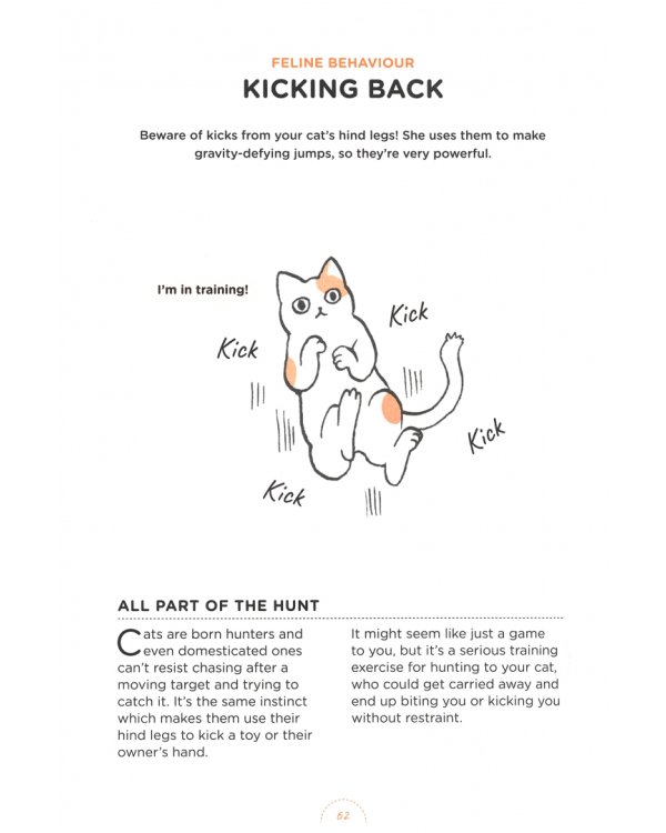 What Cats Want. An Illustrated Guide for Truly Understanding Your Cat