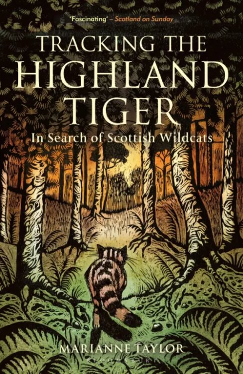 Tracking The Highland Tiger. In Search of Scottish Wildcats