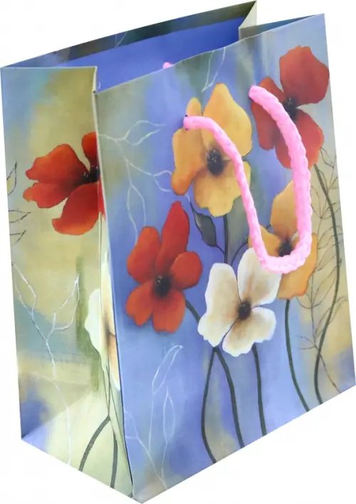 Пакет подарочный ламинированный