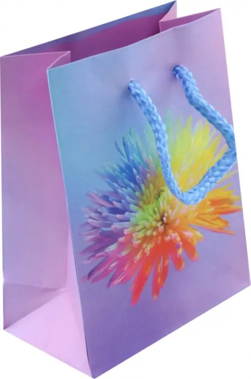 Пакет подарочный ламинированный Пакет подарочный ламинированный