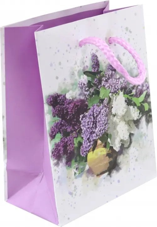 Пакет подарочный ламинированный Пакет подарочный ламинированный