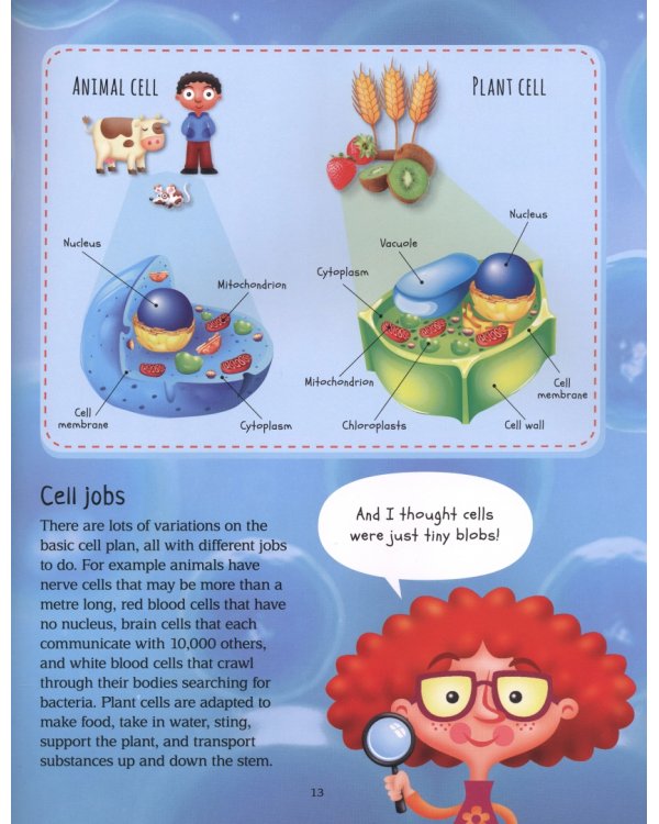 A Beginner’s Guide to Life on Earth