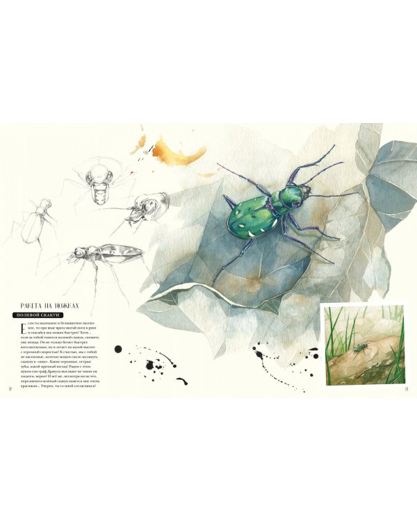 Музей живых насекомых