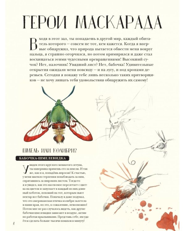 Музей живых насекомых