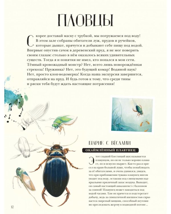 Музей живых насекомых